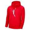 NIKE WNBA SILHOUETTE HOODIE